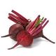 Picture of ORGANIC BEETROOT