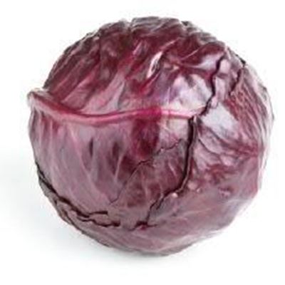 Picture of ORGANIC RED CABBAGE (WHOLE)
