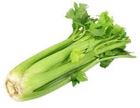 Picture of ORGANIC CELERY (WHOLE)