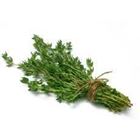 Picture of ORGANIC FRESH THYME
