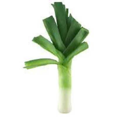 Picture of ORGANIC LEEKS 