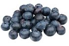 Picture of ORGANIC BLUEBERRY PUNNET 