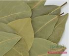 Picture of HERBIES BAY LEAVES WHOLE 7G