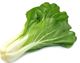 Picture of ORGANIC BOK CHOY
