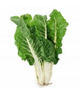 Picture of ORGANIC SILVERBEET BUNCH